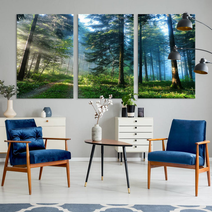 Forest Sun Shine Wall Art Canvas Print