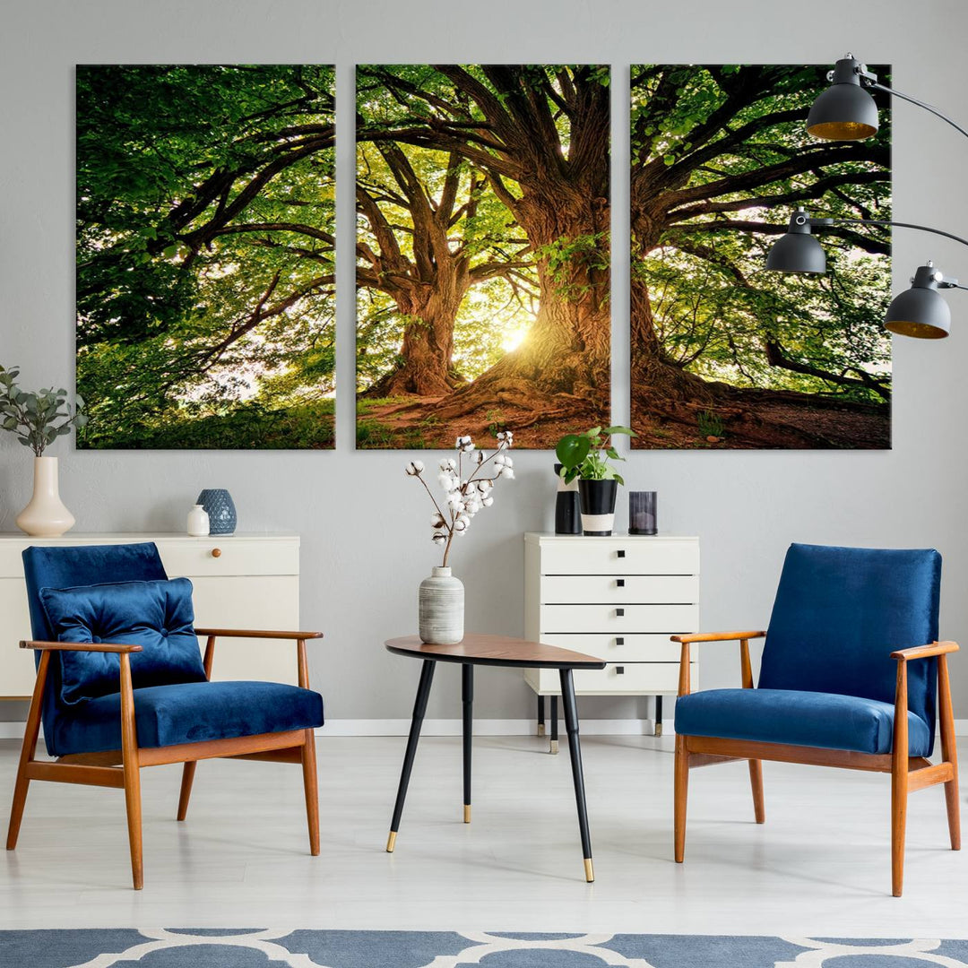 Majestic Ancient Tree Wall Art, Nature-Inspired Canvas Print, Woodland Art, Tree of Life Artwork, Sunlit Forest, Giclee Nature Print