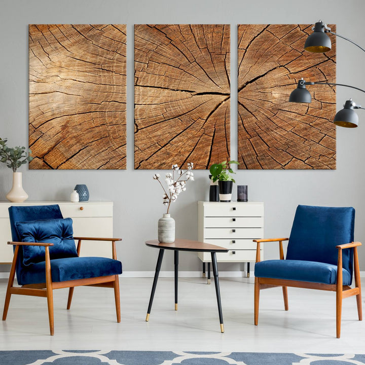 The stunning multi-panel wall art piece, the Tree Ring Canvas Art, features intricate rustic wood grain textures. This giclee triptych hangs elegantly on the wall.