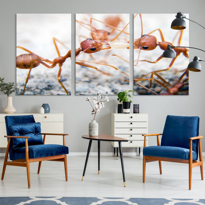 The "Ants Wall Art Canvas Print" features two ants facing each other, beautifully presented across three panels on museum-quality canvas with a UV-protective coating.