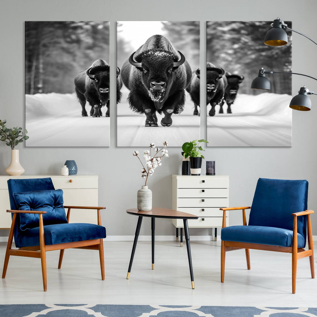 Buffalo Wall Art Canvas Print, Bison Wall Art Canvas Print