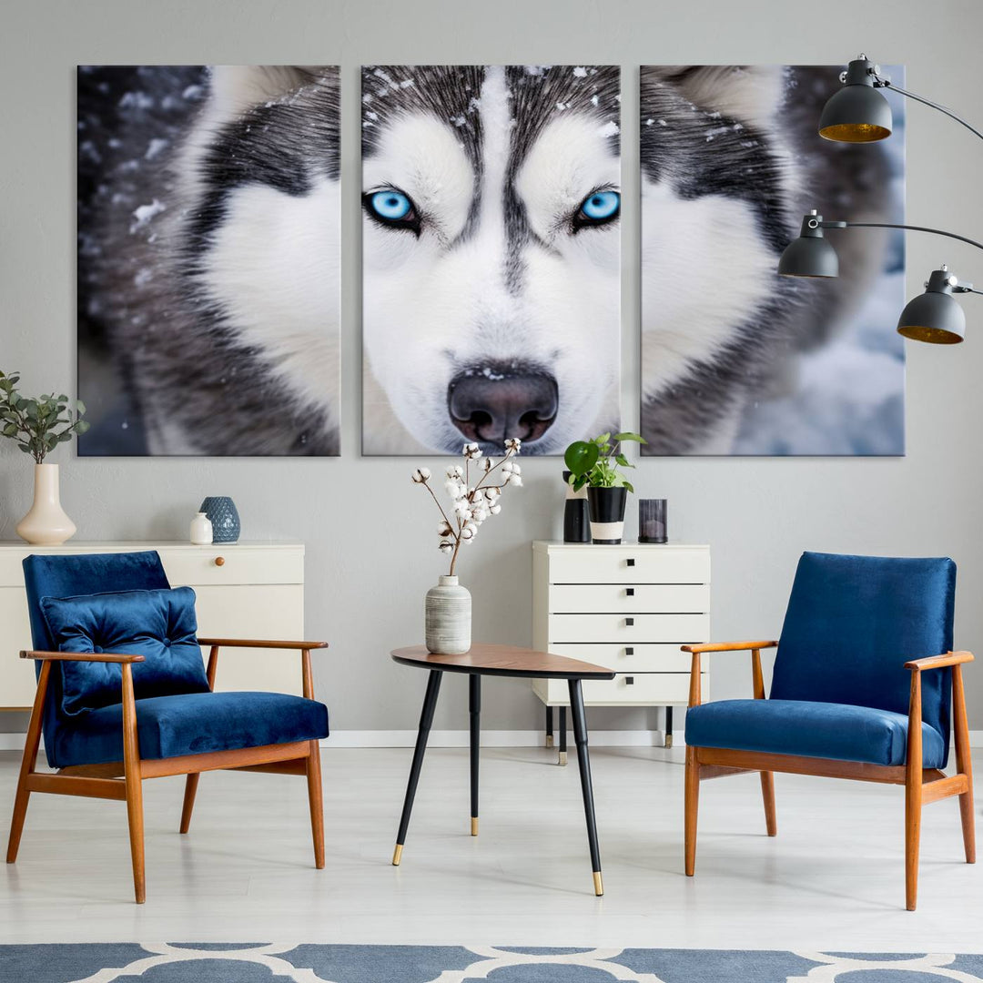 A large framed Winter Siberian Husky Wolf Wall Art Canvas Print, an exquisite piece of animal portrait decor, hangs prominently on the wall.