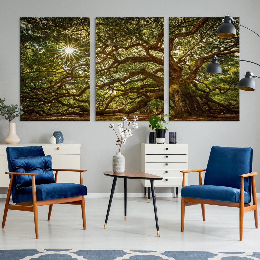 Ancient Angel Oak Tree Sunburst Wall Art - Nature-Inspired Triptych Canvas Print, Framed, Ready to Hang