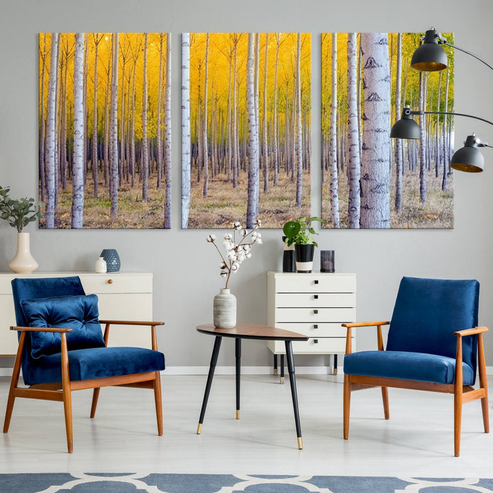 Birch Trees Forest in Autumn Wall Art Print