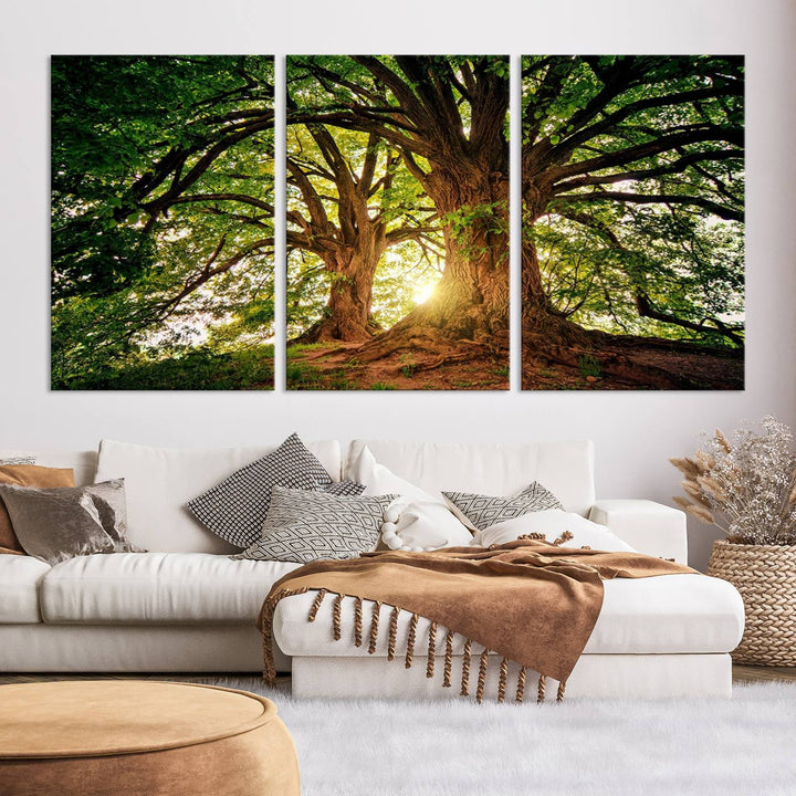 Majestic Ancient Tree Wall Art, Nature-Inspired Canvas Print, Woodland Art, Tree of Life Artwork, Sunlit Forest, Giclee Nature Print