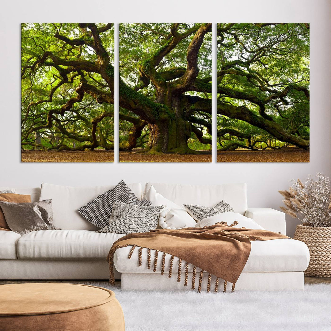 Majestic Angel Oak Tree Wall Art Canvas Print | Forest Tree Nature Photography Print on Canvas | Large Triptych Art for Living Room or Office Decor