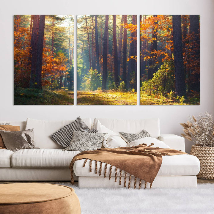 Forêt Sunshine Wall Art Impression sur toile