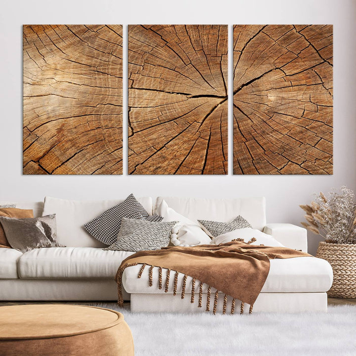 The stunning multi-panel wall art piece, the Tree Ring Canvas Art, features intricate rustic wood grain textures. This giclee triptych hangs elegantly on the wall.