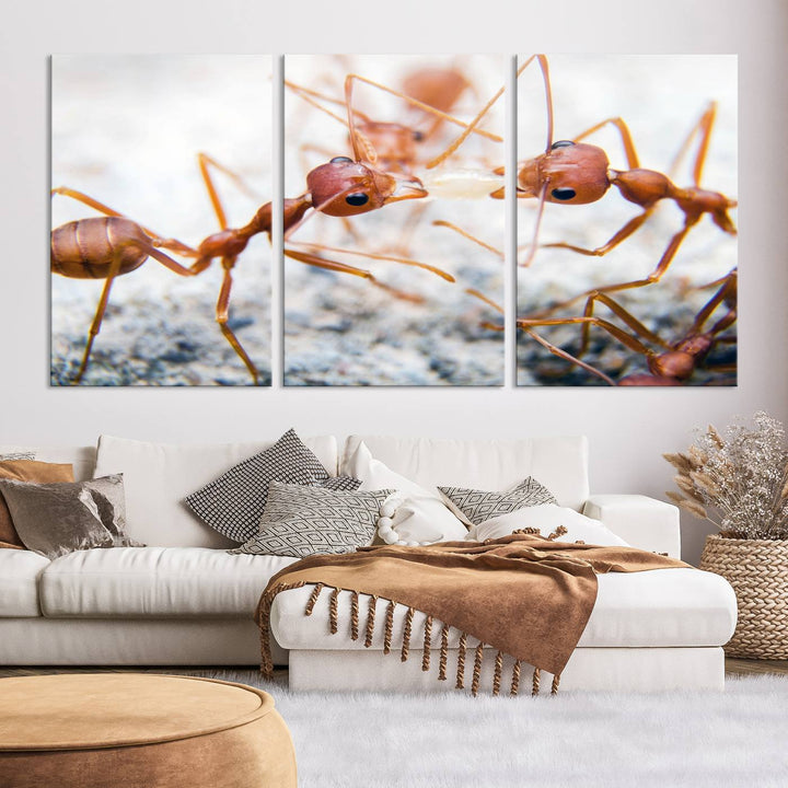 The "Ants Wall Art Canvas Print" features two ants facing each other, beautifully presented across three panels on museum-quality canvas with a UV-protective coating.