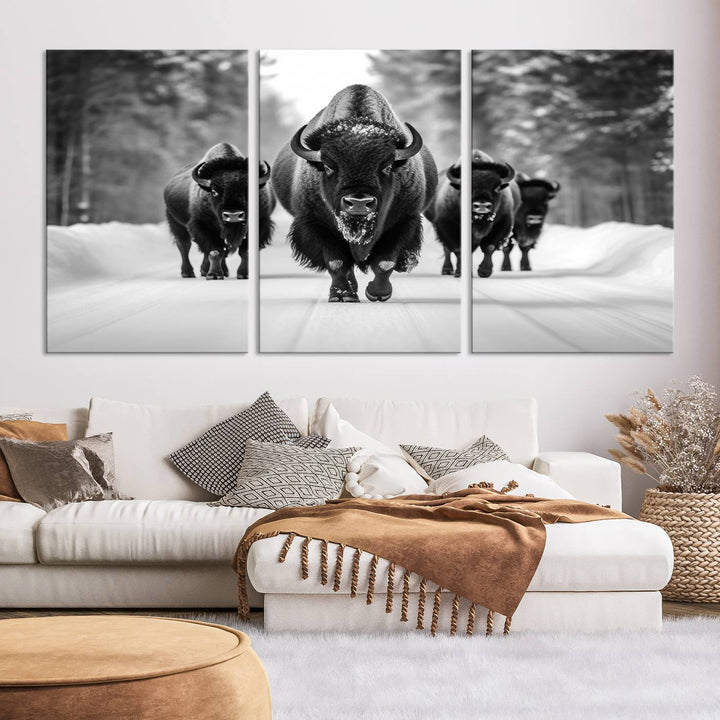 Buffalo Wall Art Canvas Print, Bison Wall Art Canvas Print