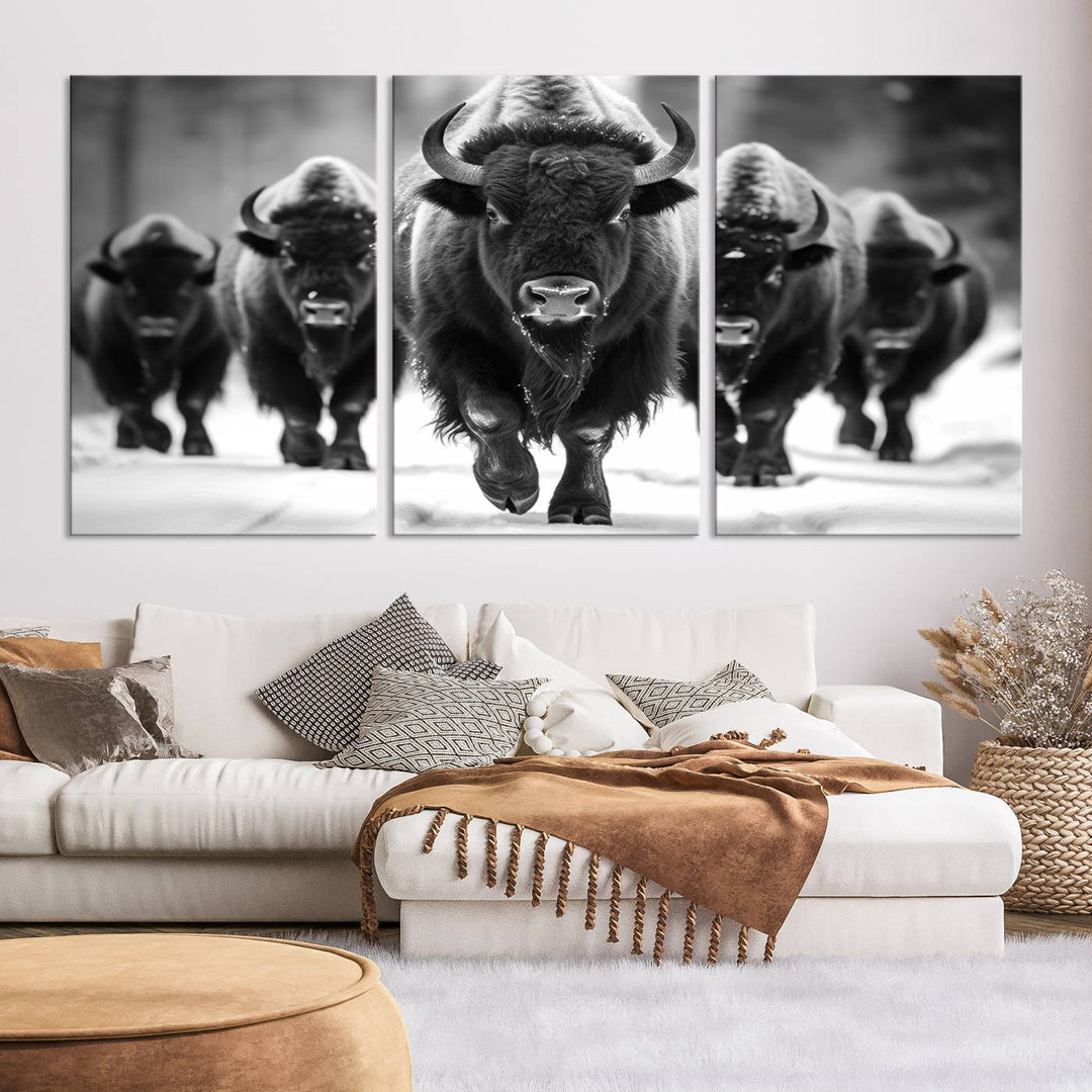 A modern living room features a striking black-and-white American Bison Art | Buffalo Herd Wall Art Canvas Print on the wall.