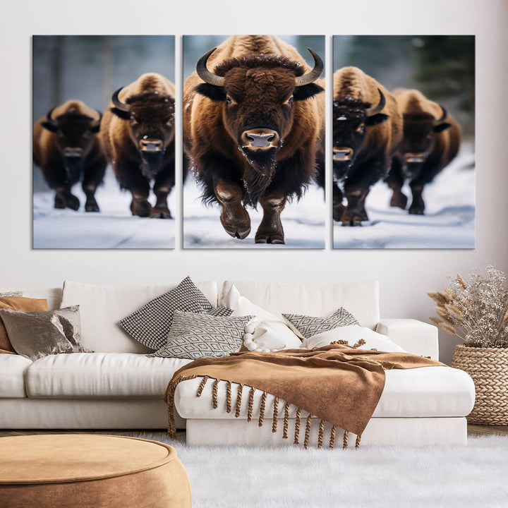 Buffalo Wall Art Canvas Print, American Bison Herd Wall Art Canvas Print