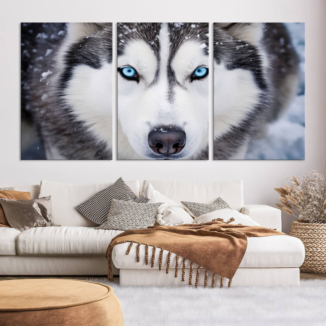 A large framed Winter Siberian Husky Wolf Wall Art Canvas Print, an exquisite piece of animal portrait decor, hangs prominently on the wall.