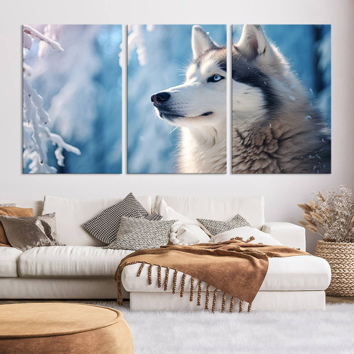 A captivating Winter Siberian Husky Wolf Wall Art Canvas Print hangs prominently.