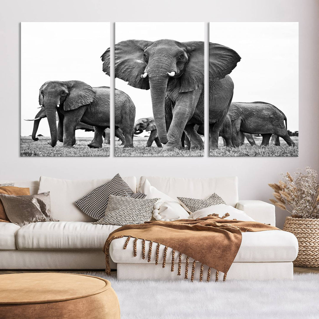 The Black White Elephant Family Wall Art Canvas Print features a triptych of elephants walking in the wild, crafted as gallery-quality wall art on premium canvas.