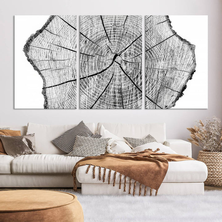 Rustic Tree Ring Wall Art Canvas Print – Framed and Ready to Hang – Perfect for Nature-Inspired and Minimalist Décor 