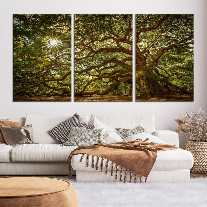 Ancient Angel Oak Tree Sunburst Wall Art - Nature-Inspired Triptych Canvas Print, Framed, Ready to Hang