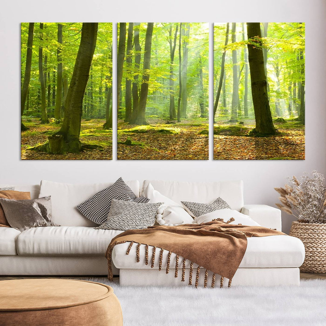 Wall Art Landscape Canvas Print Sunshine in Green Forest