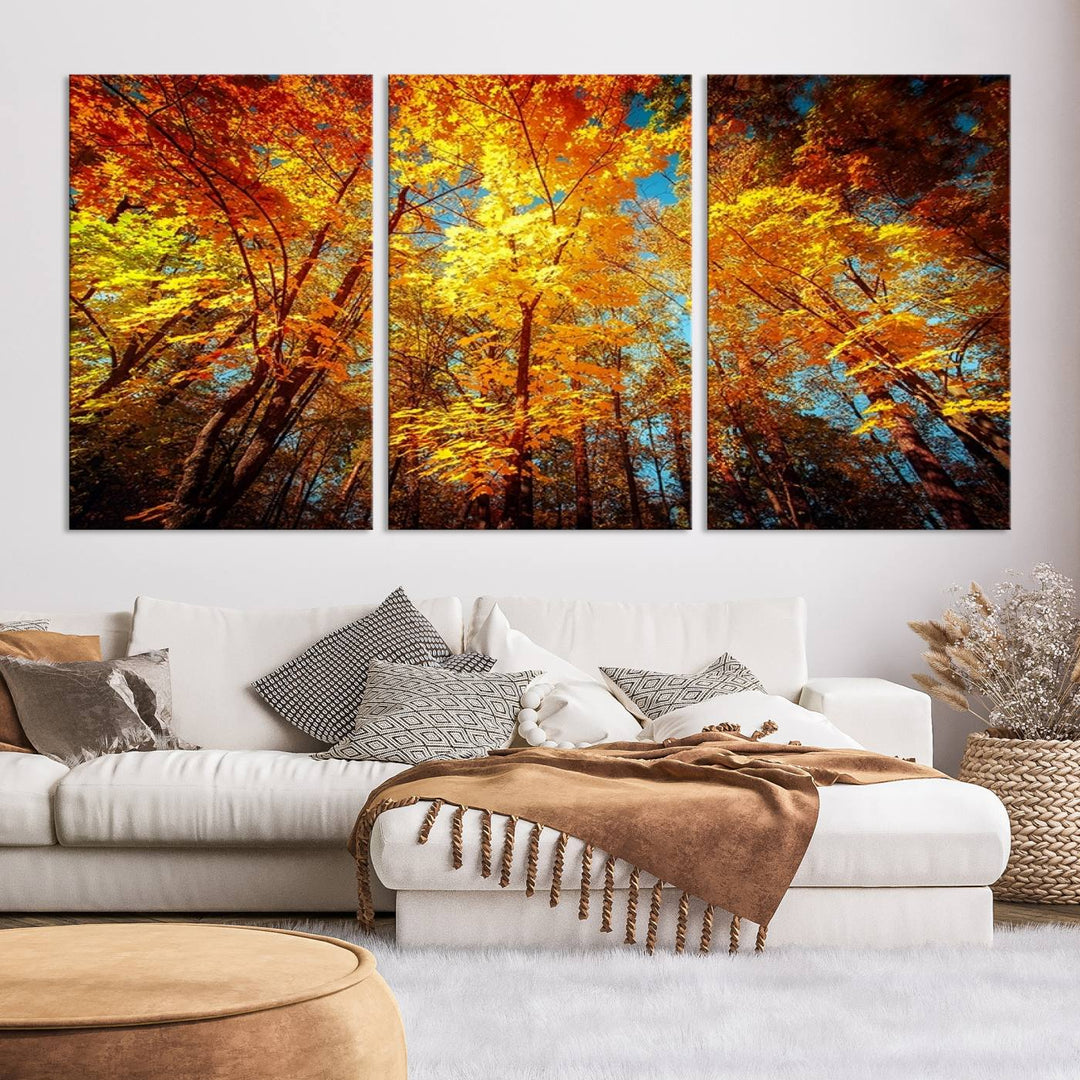 Forest View at Fall Wall Art Autumn Colors Landscape Canvas Print