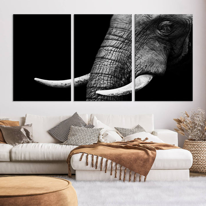 Wall Art Animal Canvas Print Close Taken Elephant with Big Ivories