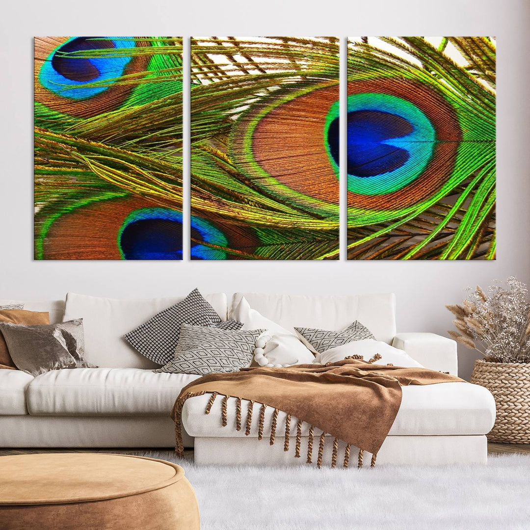 Wall Art Animal Canvas Print Triple Eyed Peacock Wing