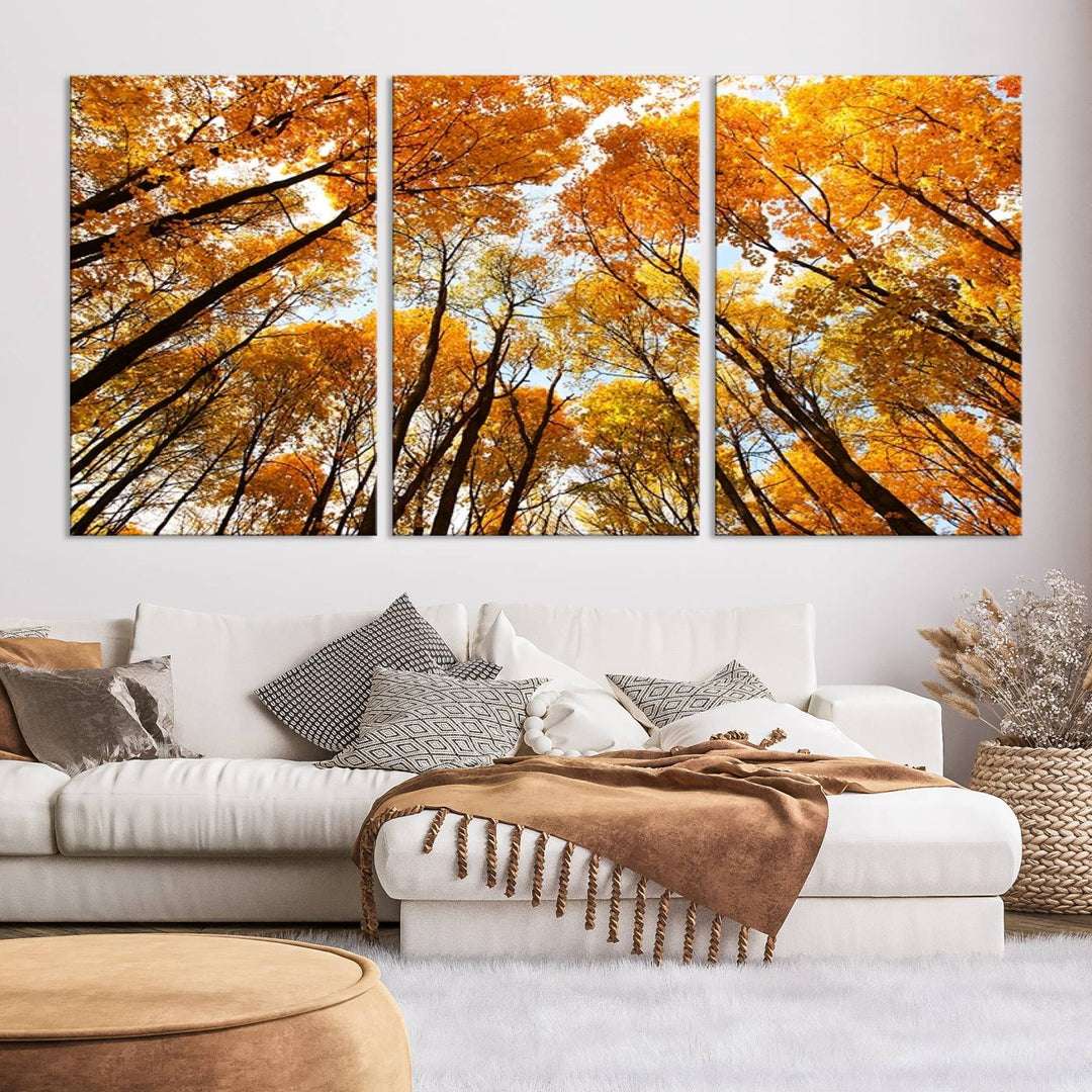 Wall Art Yellow Forest and Sky in Autumn Canvas Print