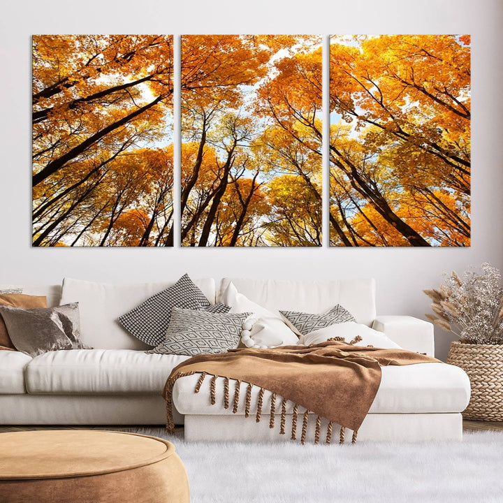 Art mural Forêt jaune et ciel en automne Impression sur toile