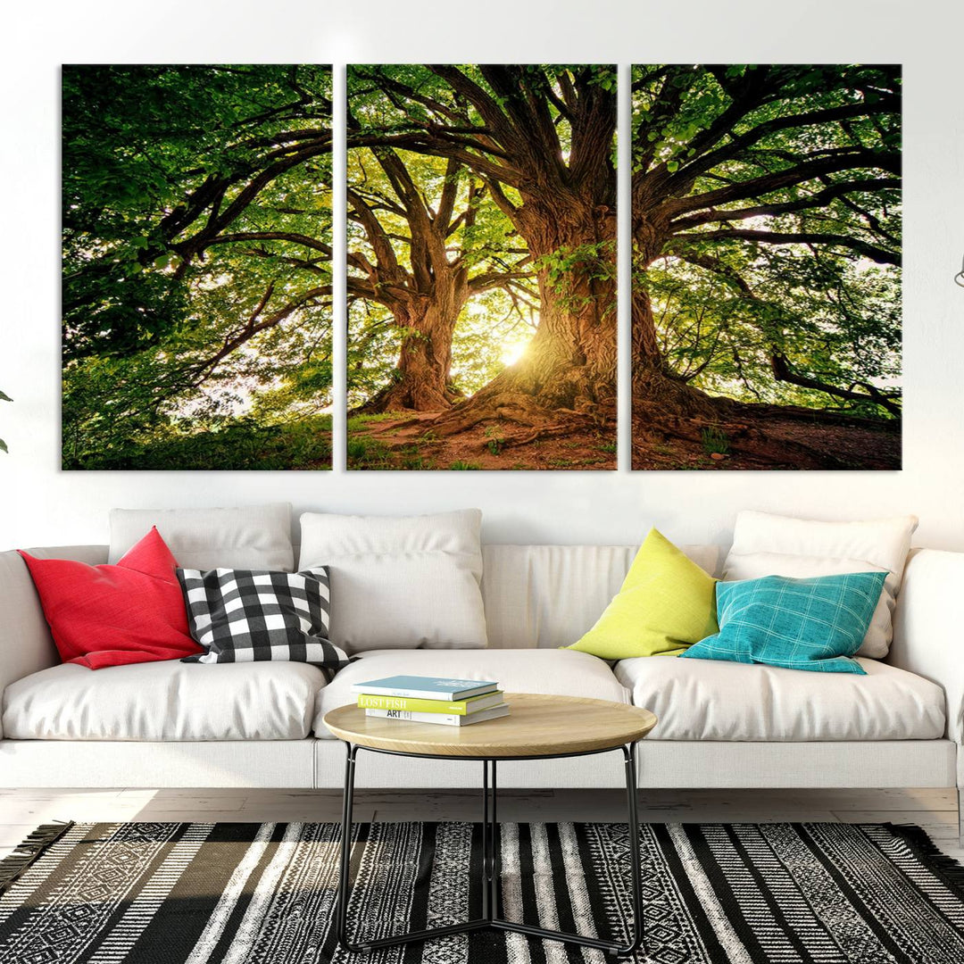 Majestic Ancient Tree Wall Art, Nature-Inspired Canvas Print, Woodland Art, Tree of Life Artwork, Sunlit Forest, Giclee Nature Print