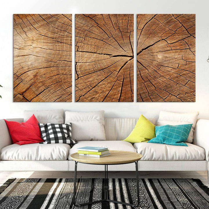 The stunning multi-panel wall art piece, the Tree Ring Canvas Art, features intricate rustic wood grain textures. This giclee triptych hangs elegantly on the wall.