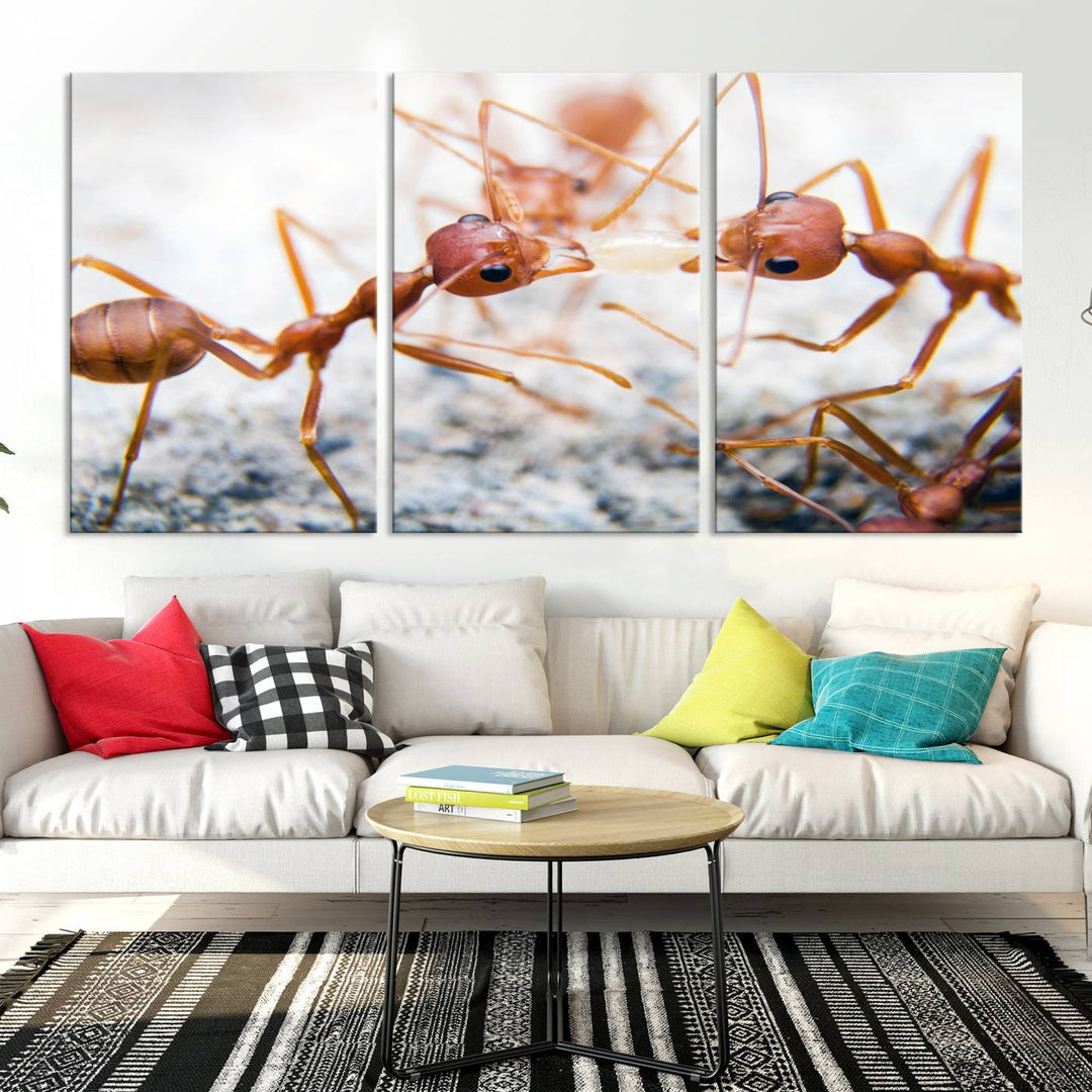 The "Ants Wall Art Canvas Print" features two ants facing each other, beautifully presented across three panels on museum-quality canvas with a UV-protective coating.