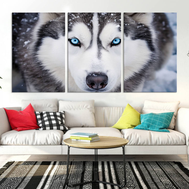 A large framed Winter Siberian Husky Wolf Wall Art Canvas Print, an exquisite piece of animal portrait decor, hangs prominently on the wall.