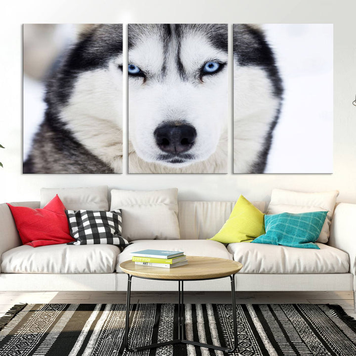 A captivating Winter Siberian Husky Wolf Blue Eyes Wall Art Canvas Print is displayed above.