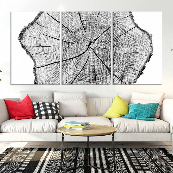 Rustic Tree Ring Wall Art Canvas Print – Framed and Ready to Hang – Perfect for Nature-Inspired and Minimalist Décor 