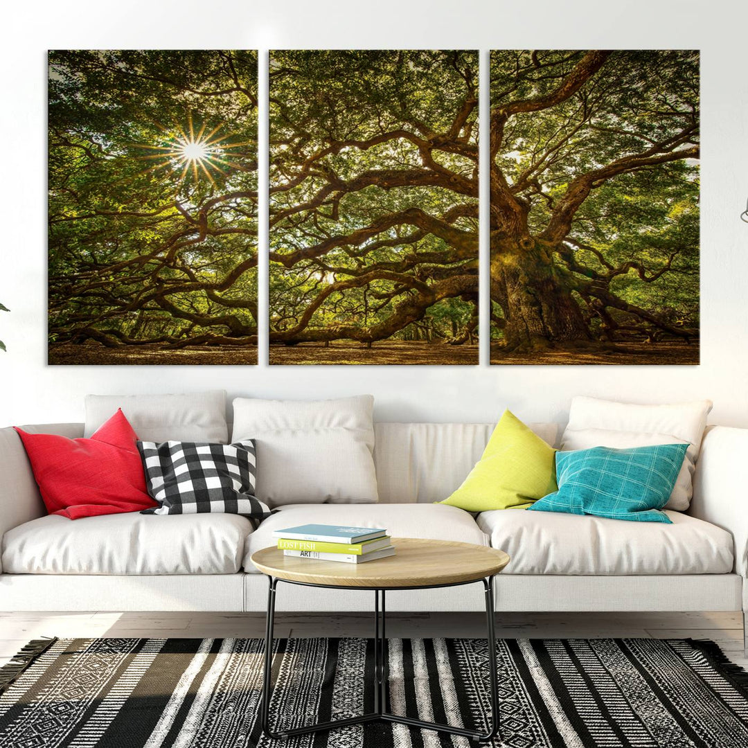 Ancient Angel Oak Tree Sunburst Wall Art - Nature-Inspired Triptych Canvas Print, Framed, Ready to Hang