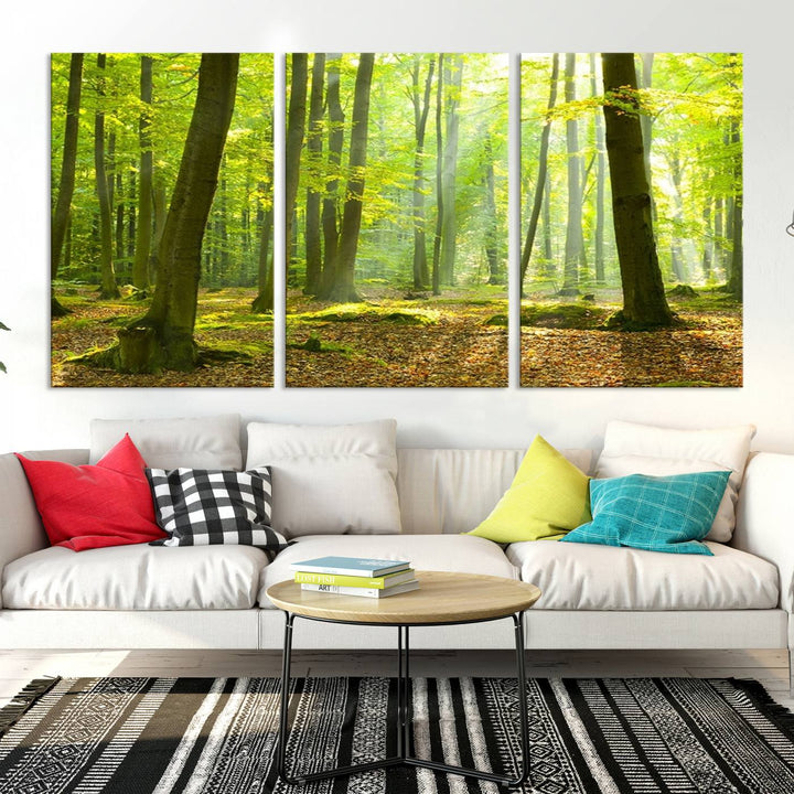 Wall Art Landscape Canvas Print Sunshine in Green Forest