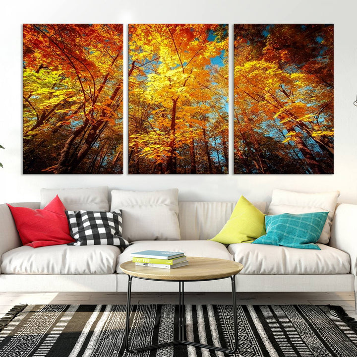 Forest View at Fall Wall Art Autumn Colors Landscape Canvas Print