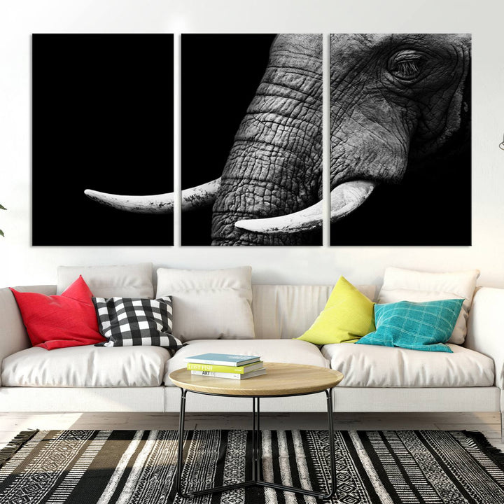 Wall Art Animal Canvas Print Close Taken Elephant with Big Ivories