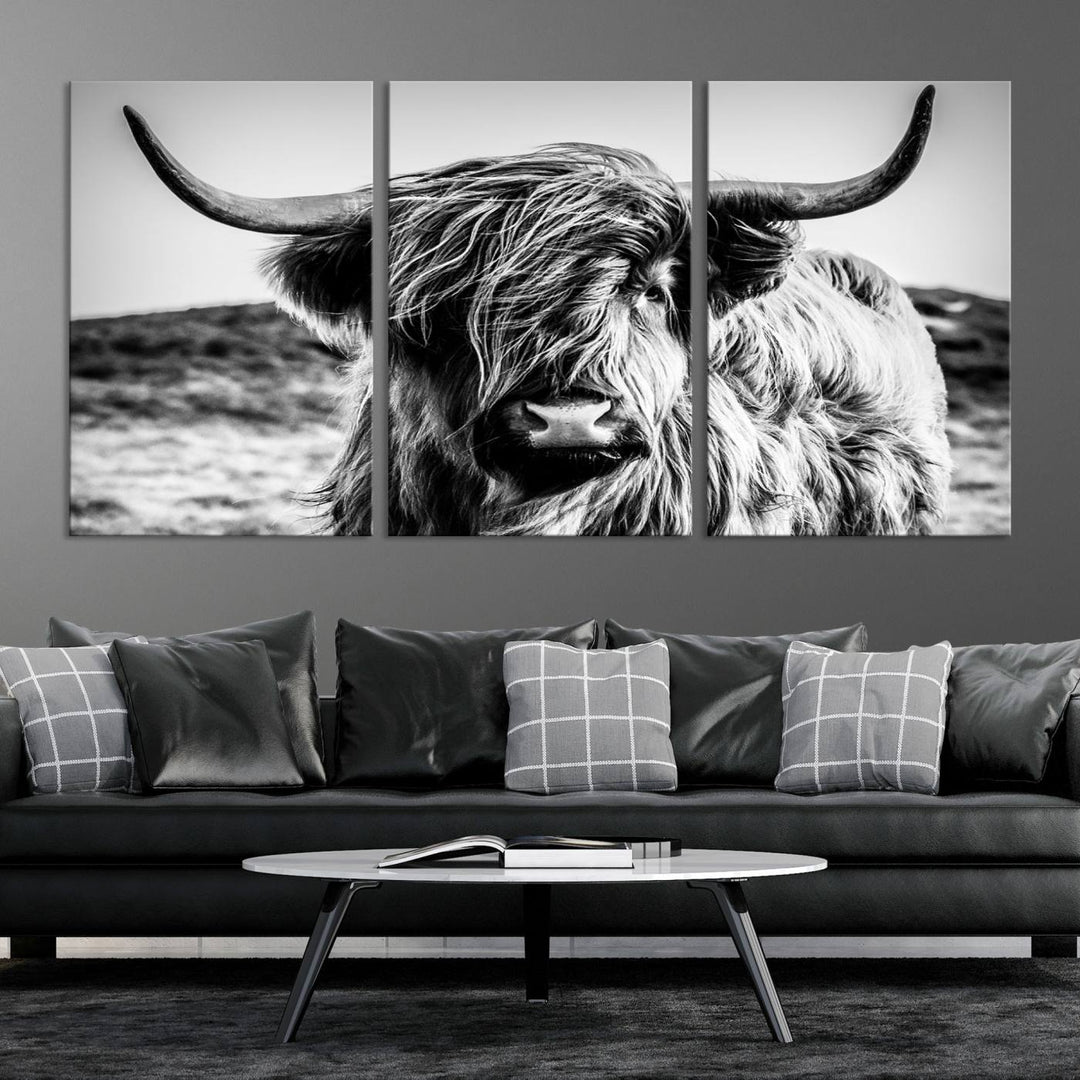 Scottish Cow Black and White Wall Canvas Art Print Farm House