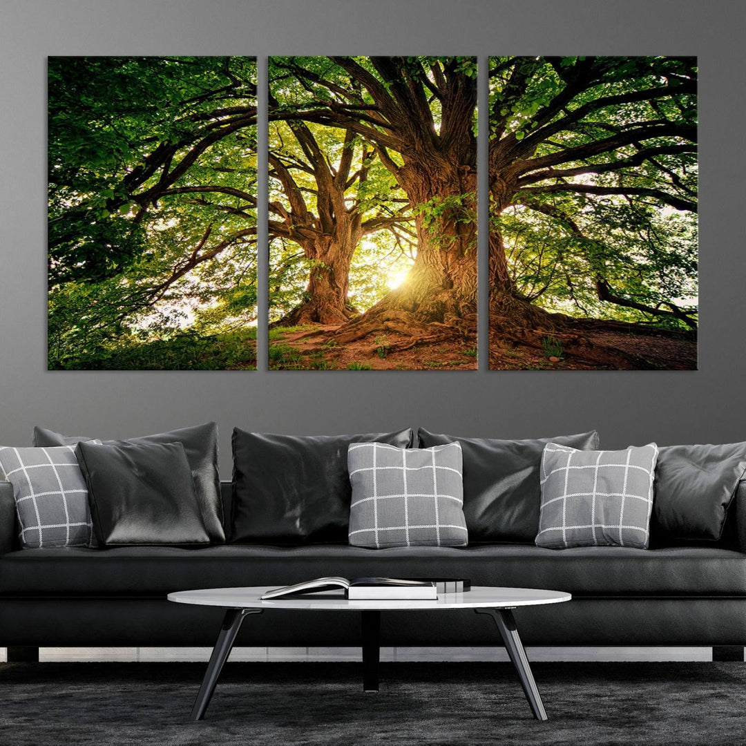 Majestic Ancient Tree Wall Art, Nature-Inspired Canvas Print, Woodland Art, Tree of Life Artwork, Sunlit Forest, Giclee Nature Print