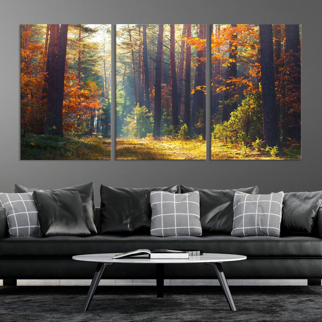 Forêt Sunshine Wall Art Impression sur toile