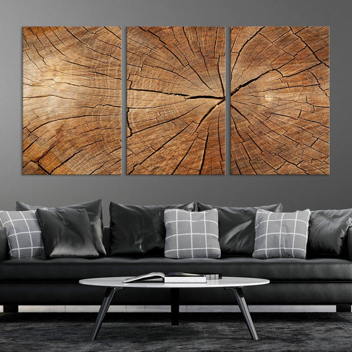 The stunning multi-panel wall art piece, the Tree Ring Canvas Art, features intricate rustic wood grain textures. This giclee triptych hangs elegantly on the wall.