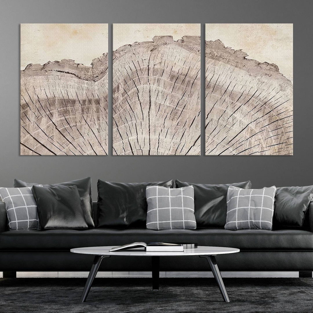 The Wood Tree Ring Wall Art Triptych, a nature-inspired giclee print on rustic wood ring canvas, is elegantly showcased.