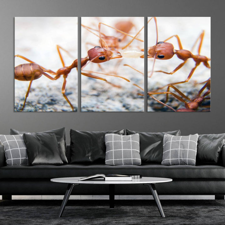 The "Ants Wall Art Canvas Print" features two ants facing each other, beautifully presented across three panels on museum-quality canvas with a UV-protective coating.