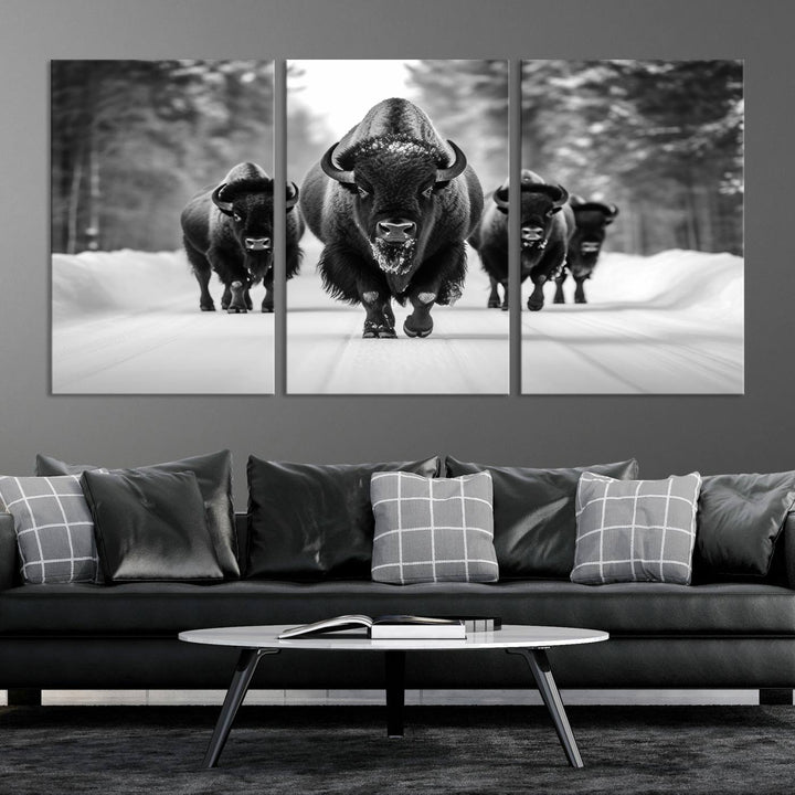 Buffalo Wall Art Canvas Print, Bison Wall Art Canvas Print