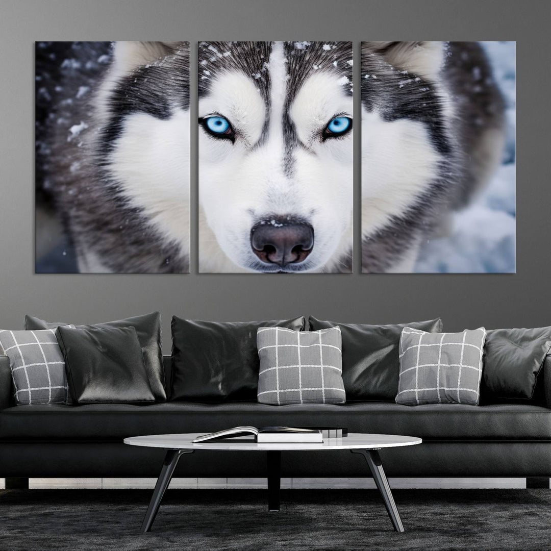 A large framed Winter Siberian Husky Wolf Wall Art Canvas Print, an exquisite piece of animal portrait decor, hangs prominently on the wall.