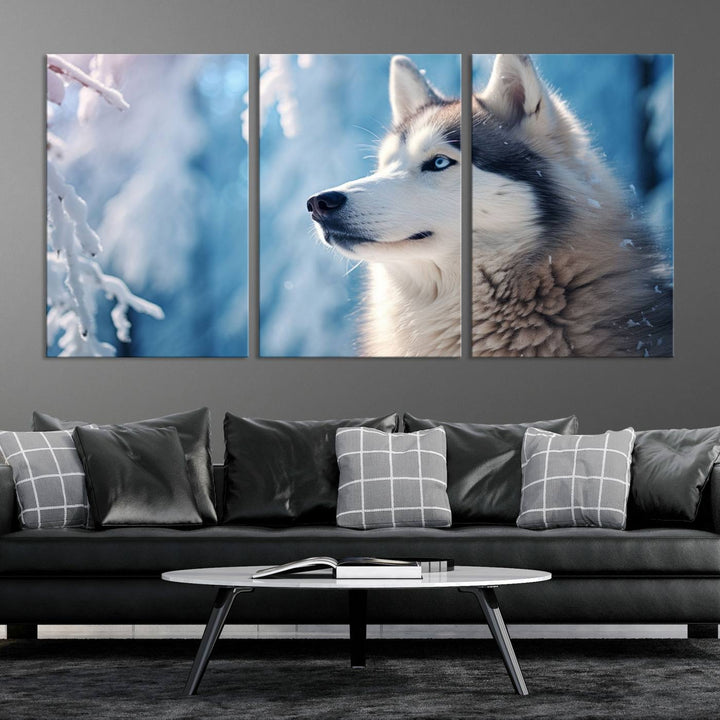 A captivating Winter Siberian Husky Wolf Wall Art Canvas Print hangs prominently.