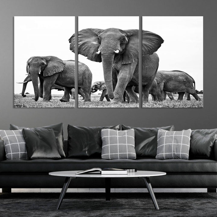 The Black White Elephant Family Wall Art Canvas Print features a triptych of elephants walking in the wild, crafted as gallery-quality wall art on premium canvas.