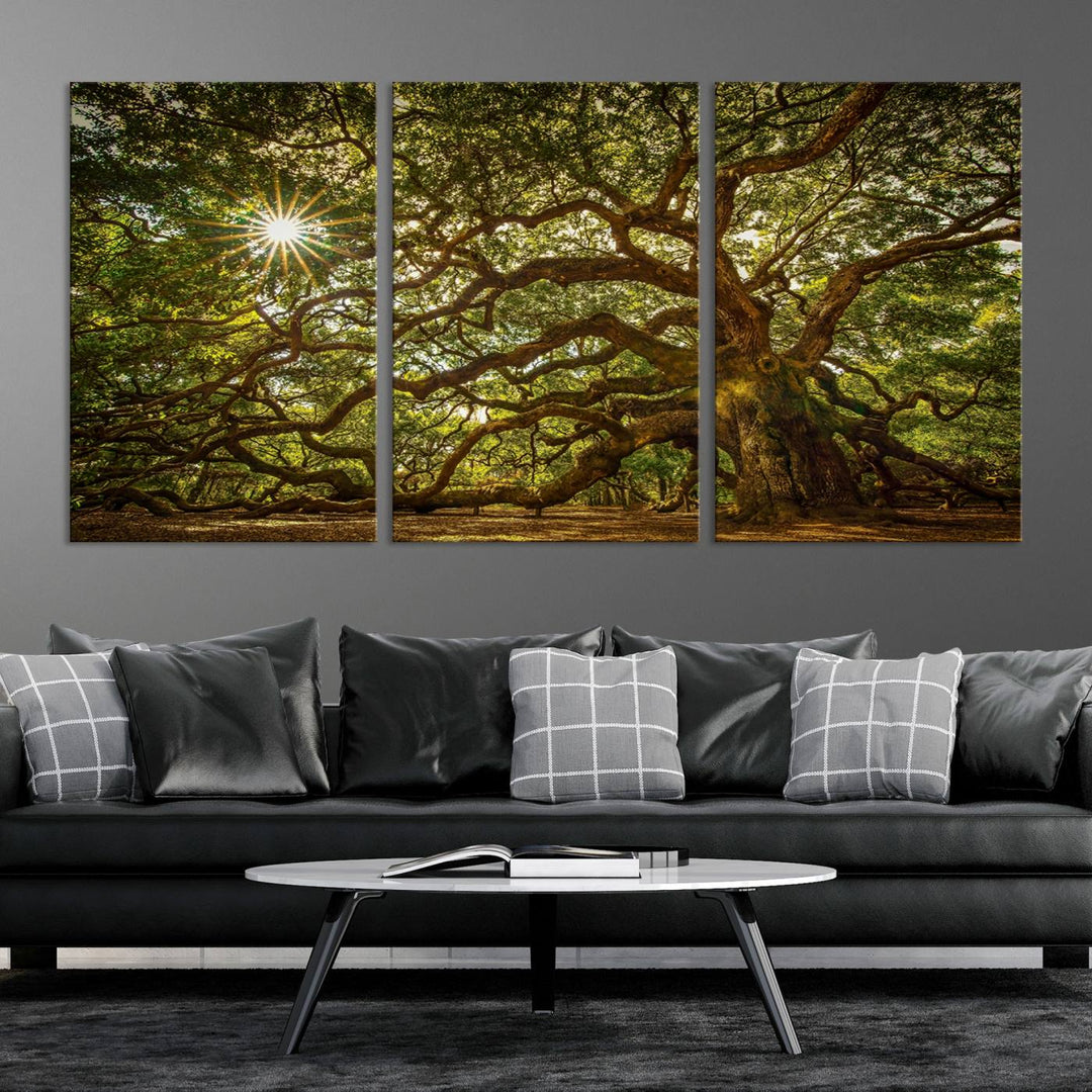 Ancient Angel Oak Tree Sunburst Wall Art - Nature-Inspired Triptych Canvas Print, Framed, Ready to Hang