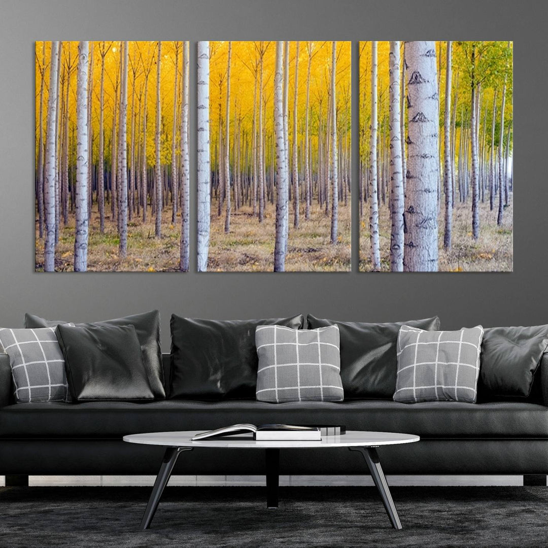 Birch Trees Forest in Autumn Wall Art Print