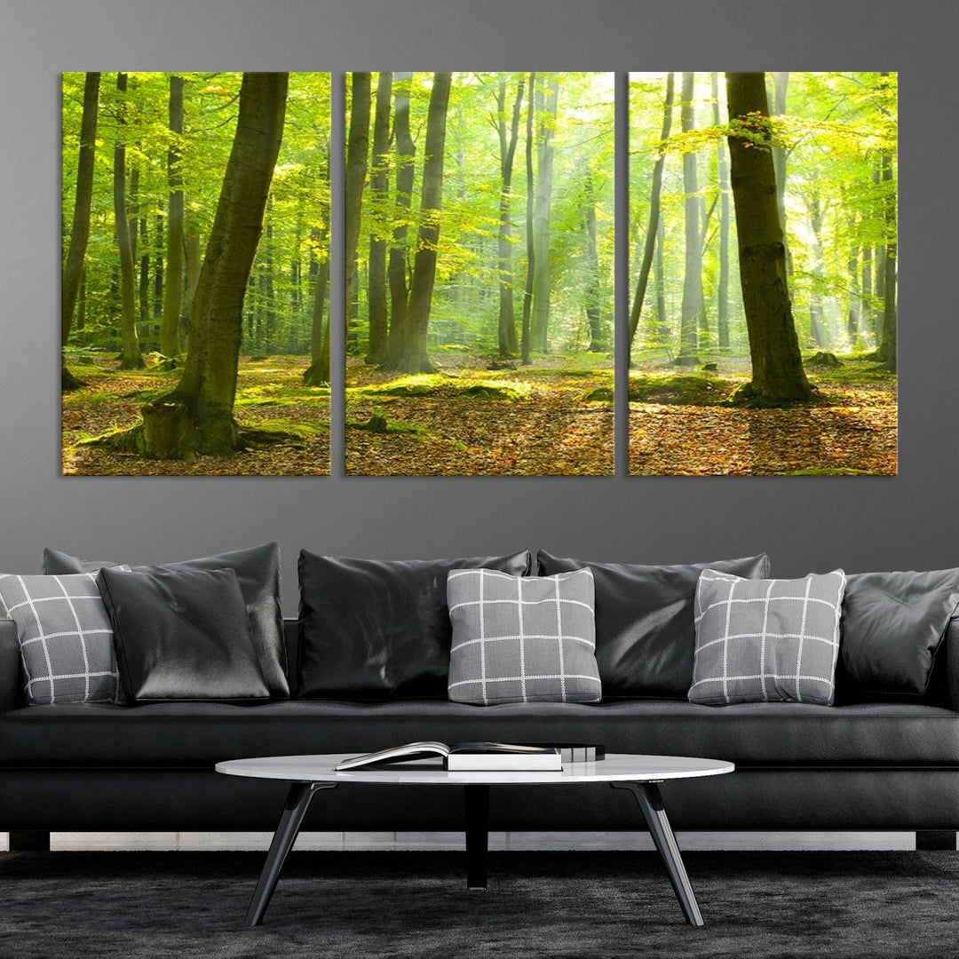 Wall Art Landscape Canvas Print Sunshine in Green Forest